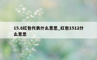 15.8 红包代表什么意思_红包 1512 什么意思