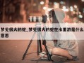 梦见很大的蛇_梦见很大的蛇在水里游是什么意思