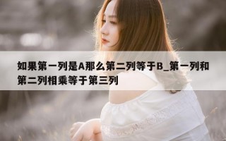 如果第一列是 A 那么第二列等于 B_第一列和第二列相乘等于第三列