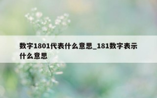 数字 1801 代表什么意思_181 数字表示什么意思