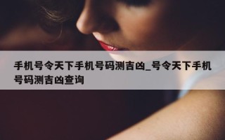 手机号令天下手机号码测吉凶_号令天下手机号码测吉凶查询