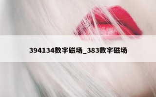 394134 数字磁场_383 数字磁场