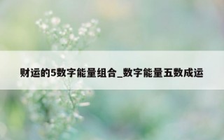 财运的 5 数字能量组合_数字能量五数成运