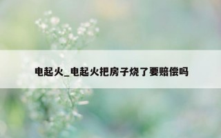 电起火_电起火把房子烧了要赔偿吗