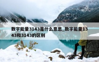 数字能量 3143 是什么意思_数字能量 1343 和 3143 的区别