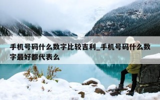 手机号码什么数字比较吉利_手机号码什么数字最好都代表么