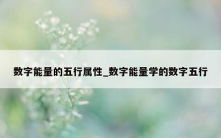 数字能量的五行属性_数字能量学的数字五行