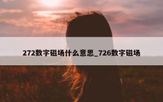 272 数字磁场什么意思_726 数字磁场