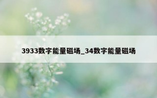 3933 数字能量磁场_34 数字能量磁场