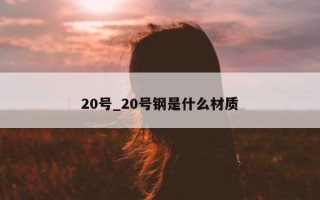 20 号_20 号钢是什么材质