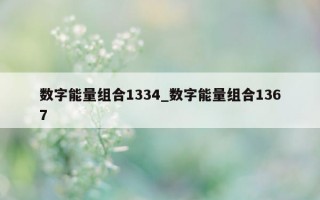 数字能量组合 1334_数字能量组合 1367