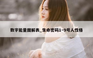 数字能量图解表_生命密码 1～9 号人性格