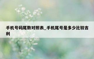 手机号码尾数对照表_手机尾号是多少比较吉利