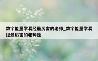 数字能量学易经最厉害的老师_数字能量学易经最厉害的老师是