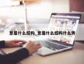 意是什么结构_意是什么结构什么旁