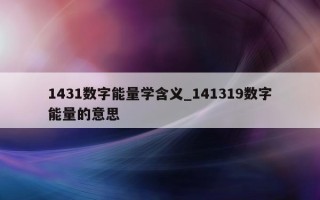 1431 数字能量学含义_141319 数字能量的意思