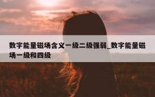 数字能量磁场含义一级二级强弱_数字能量磁场一级和四级