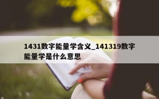 1431 数字能量学含义_141319 数字能量学是什么意思