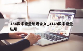 134 数字能量磁场含义_3149 数字能量磁场