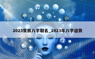 2023 生辰八字取名_2023 年八字运势