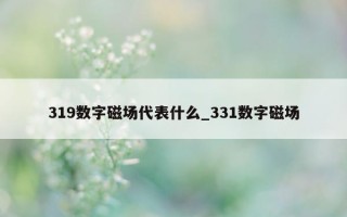 319 数字磁场代表什么_331 数字磁场