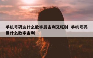 手机号码选什么数字最吉利又旺财_手机号码用什么数字吉利