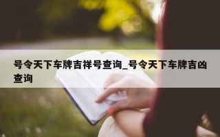 号令天下车牌吉祥号查询_号令天下车牌吉凶查询