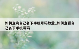 如何查询自己名下手机号码数量_如何查看自己名下手机号码