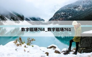 数字磁场 768_数字磁场 761