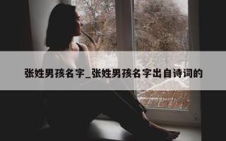 张姓男孩名字_张姓男孩名字出自诗词的