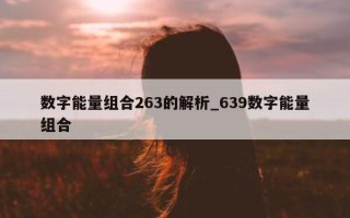 数字能量组合 263 的解析_639 数字能量组合