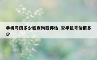 手机号值多少钱查询器评估_查手机号价值多少