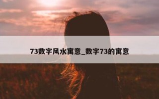 73 数字风水寓意_数字 73 的寓意