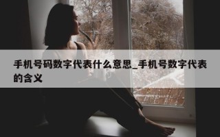 手机号码数字代表什么意思_手机号数字代表的含义