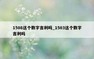 1508 这个数字吉利吗_1503 这个数字吉利吗