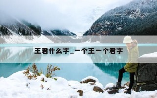 王君什么字_一个王一个君字