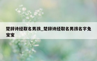 楚辞诗经取名男孩_楚辞诗经取名男孩名字兔宝宝