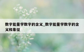 数字能量学数字的含义_数字能量学数字的含义和象征