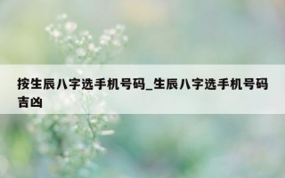 按生辰八字选手机号码_生辰八字选手机号码吉凶