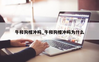 牛和狗相冲吗_牛和狗相冲吗为什么