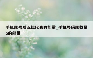 手机尾号后五位代表的能量_手机号码尾数是 5 的能量