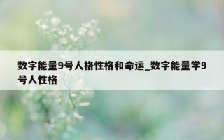 数字能量 9 号人格性格和命运_数字能量学 9 号人性格