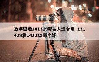 数字磁场 141319 哪些人适合用_131419 和 141319 哪个好