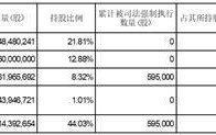 证券代码：002146   证券简称：荣盛发展    公告编号：临 2024-010 号