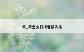 率_率怎么打拼音输入法