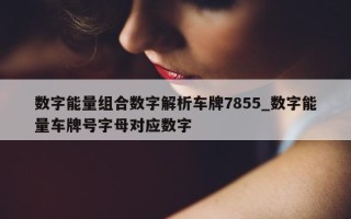 数字能量组合数字解析车牌 7855_数字能量车牌号字母对应数字