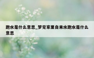 跑水是什么意思_梦见家里自来水跑水是什么意思