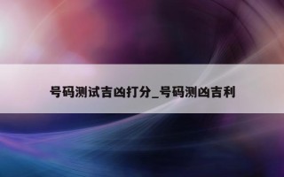 号码测试吉凶打分_号码测凶吉利