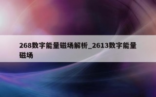 268 数字能量磁场解析_2613 数字能量磁场