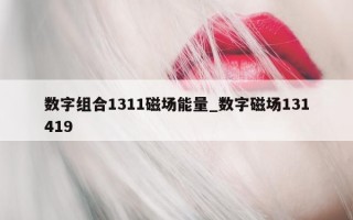 数字组合 1311 磁场能量_数字磁场 131419